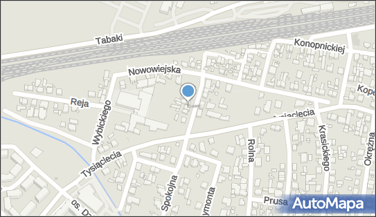 Przedsiębiorstwo Produkcyjno Handlowo Usługowe, Spokojna 5 62-020 - Przedsiębiorstwo, Firma, NIP: 7771382262