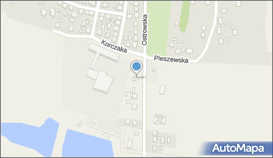 Przedsiebiorstwo Produkcyjno Usługowo Handlowe Dom Top Adam Dutkowski Maria Pachulska 63-440 - Przedsiębiorstwo, Firma, numer telefonu, NIP: 6222237295