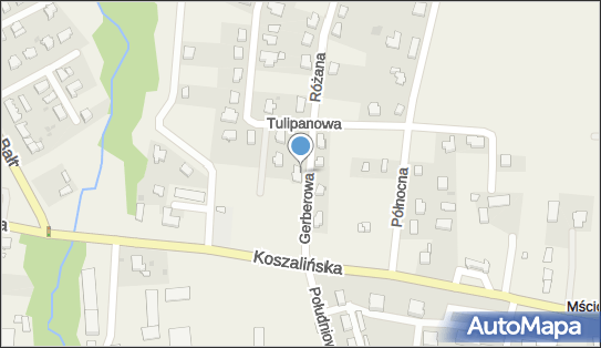 Przedsiębiorstwo Produkcyjno-Usługowo-Handlowe Eliza Czopko 76-031 - Przedsiębiorstwo, Firma, NIP: 4990243808