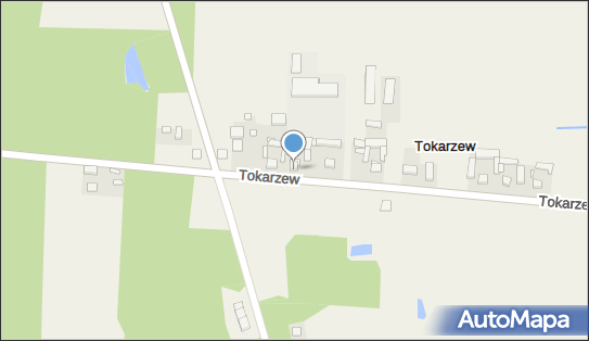 Przedsiębiorstwo Produkcyjno Usługowo Handlowe Kozica Jerzy 63-505 - Przedsiębiorstwo, Firma, NIP: 6221525632