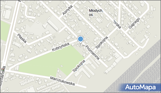 Przedsiębiorstwo Produkcyjno Usługowo Handlowe Mona Janusz Leszek Fik 15-720 - Przedsiębiorstwo, Firma, numer telefonu, NIP: 5421445908
