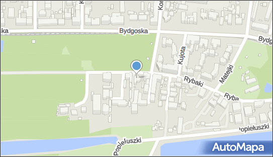 Przedsiębiorstwo Produkcyjno Usługowo Handlowe Playmax, Rybaki 49 87-100 - Przedsiębiorstwo, Firma, NIP: 9561204130