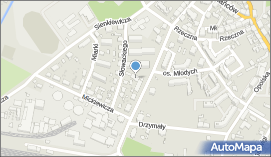 Przedsiębiorstwo Produkcyjno Usługowo Handlowe West, Dworcowa 28 46-250 - Przedsiębiorstwo, Firma, NIP: 7540015581