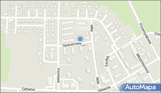 Przedsiębiorstwo Prywatne Mars Sobański Jerzy, ul. Spacerowa 3A 88-160 - Przedsiębiorstwo, Firma, NIP: 5571176114