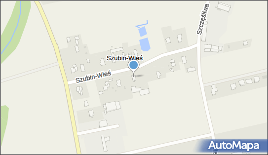 Przedsiębiorstwo Przewozowe R R, Szubin-Wieś 30, Szubin-Wieś 89-200 - Przedsiębiorstwo, Firma, numer telefonu, NIP: 5620009593