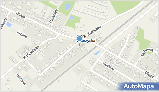Przedsiębiorstwo Spedycyjno Transportowe Idol, ul. Torowa 3 64-000 - Przedsiębiorstwo, Firma, NIP: 6981003655