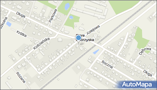 Przedsiębiorstwo Spedycyjno Transportowe Idol, ul. Torowa 3 64-000 - Przedsiębiorstwo, Firma, NIP: 6981537279