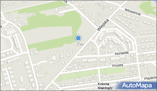Przedsiębiorstwo Transportowe Adam Adam Nazarewicz, Wiejska 17 41-253 - Przedsiębiorstwo, Firma, NIP: 6251036547