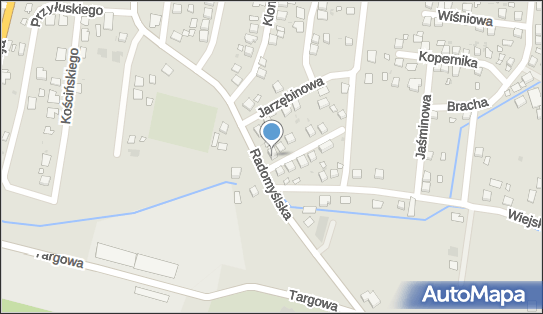 Przedsiębiorstwo Transportowe i Usługowe, Radomyślska 31 33-230 - Przedsiębiorstwo, Firma, NIP: 8711006679
