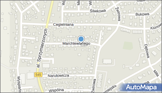 Przedsiębiorstwo Transportowe, Marchlewskiego 22, Nidzica 13-100 - Przedsiębiorstwo, Firma, NIP: 7460003185
