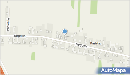 Przedsiębiorstwo Transportowo Handlowe Dortrans Wiesław Feliszewski 42-460 - Przedsiębiorstwo, Firma, NIP: 6491030662