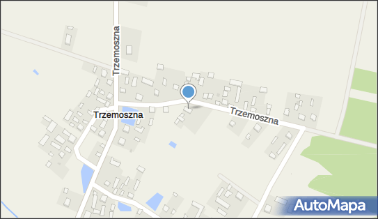 6581001121, Przedsiębiorstwo Transportowo-Handlowe 