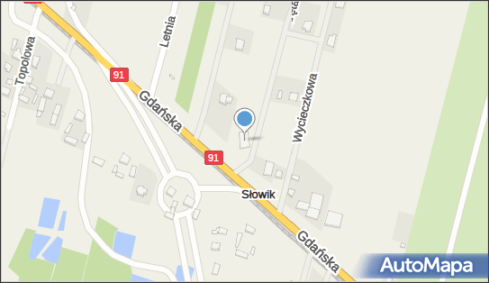 Przedsiębiorstwo Usług Rozrywkowych Holud, ul. Gdańska 64 95-100 - Przedsiębiorstwo, Firma, NIP: 7711632873