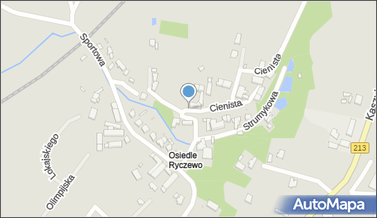 Przedsiębiorstwo Usługowe Aleksandra Kotelnicka, Cienista 9 76-200 - Przedsiębiorstwo, Firma, NIP: 8393173634