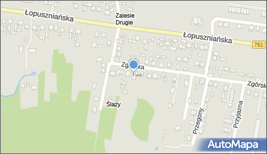 Przedsiębiorstwo Usługowe Artes Ireneusz Kędzierski, Zgórska 125 25-827 - Przedsiębiorstwo, Firma, NIP: 9590174756