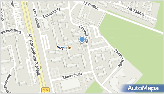6971592928, Przedsiębiorstwo Usługowe Izabela Waszczyńska, Leszno 