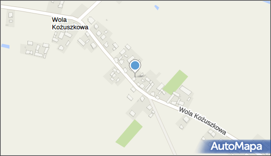 Przedsiębiorstwo Usługowe Michpol, Wola Kożuszkowa 14 88-324 - Przedsiębiorstwo, Firma, NIP: 5571586131