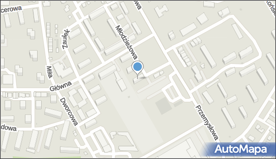 Przedsiębiorstwo Usługowe, ul. Główna 5B, Janikowo 88-160 - Przedsiębiorstwo, Firma, NIP: 5562476147