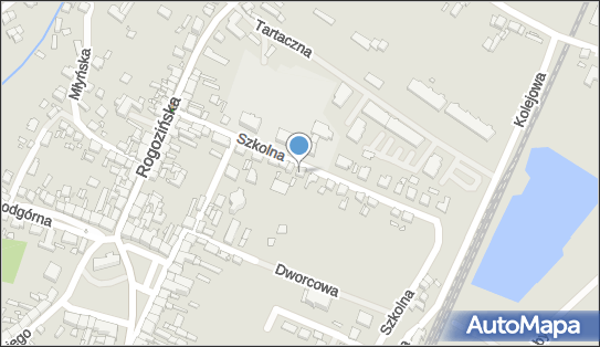 Przedsiębiorstwo Usługowo Administracyjno Biurowe, Szkolna 14 62-095 - Przedsiębiorstwo, Firma, NIP: 7811349697