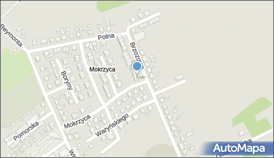 Przedsiębiorstwo Usługowo Handlowe Auto Westo, Brzozowa 55 73-110 - Przedsiębiorstwo, Firma, NIP: 8541467104