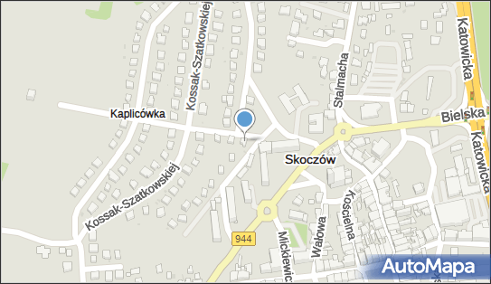 Przedsiębiorstwo Usługowo Handlowe Diana Wyleżuch Diana, Skoczów 43-430 - Przedsiębiorstwo, Firma, NIP: 5481587954