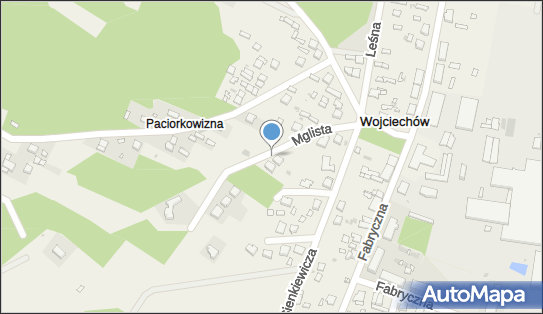 Przedsiębiorstwo Usługowo Handlowe Ewa Lech, ul. Mikołaja Reja 4 97-545 - Przedsiębiorstwo, Firma, NIP: 7720010852