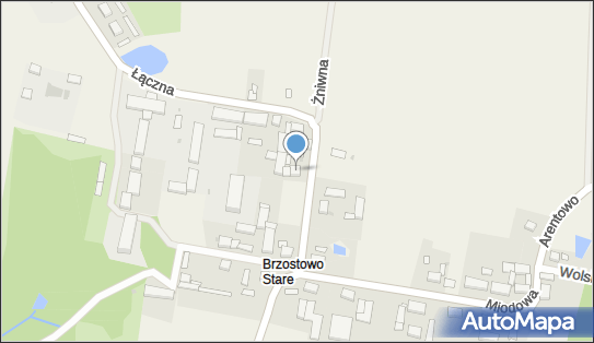 Przedsiębiorstwo Usługowo Handlowe Mag, Brzostowo 8, Brzostowo 89-350 - Przedsiębiorstwo, Firma, NIP: 7642130156