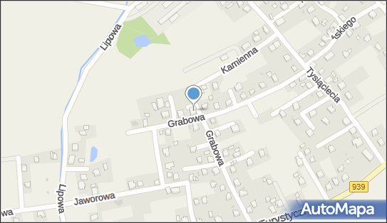 Przedsiębiorstwo Usługowo-Handlowe Verde Krzysztof Boruta, Łąka 43-241 - Przedsiębiorstwo, Firma, NIP: 6381419985