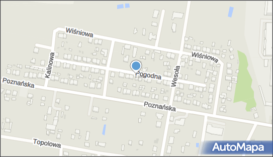 Przedsiębiorstwo Usługowo Handlowe, Pogodna 28, Piotrków Kujawski 88-230 - Przedsiębiorstwo, Firma, NIP: 8891130121