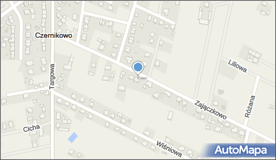 Przedsiębiorstwo Usługowo Handlowe, Zajączkowo 15A, Czernikowo 87-640 - Przedsiębiorstwo, Firma, NIP: 8931002169