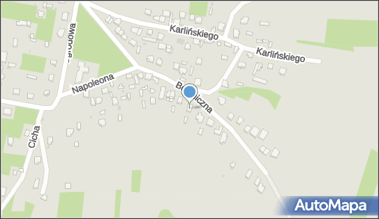 Przedsiębiorstwo Usługowo Handlowe, ul. Botaniczna 24 42-200 - Przedsiębiorstwo, Firma, NIP: 5730030915
