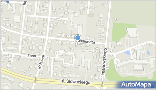 Przedsiębiorstwo Usługowo Handlowe, ul. Adama Mickiewicza 6 63-400 - Przedsiębiorstwo, Firma, NIP: 6221706641