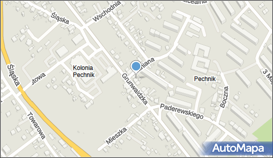 Przedsiębiorstwo Usługowo-Handlowo-Transportowe Urban Michał 43-600 - Przedsiębiorstwo, Firma, NIP: 6321735240