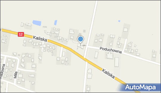 Przedsiębiorstwo Wielobranżowe Arko Jacek Kowalczyk, Poduchowna 4 62-860 - Przedsiębiorstwo, Firma, NIP: 6220020700