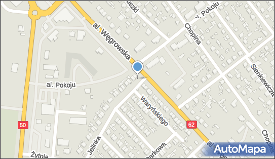 Przedsiębiorstwo Wielobranżowe Handlowo - Usługowe Emilex Emil Rokicki 07-130 - Przedsiębiorstwo, Firma, NIP: 8241391472