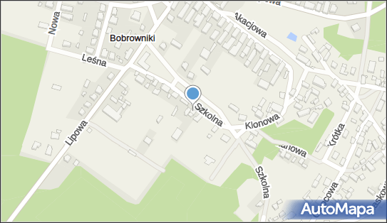 Przedsiębiorstwo Wielobranżowe Magnolia Dylewska Kazimiera 67-106 - Przedsiębiorstwo, Firma, NIP: 9250011647