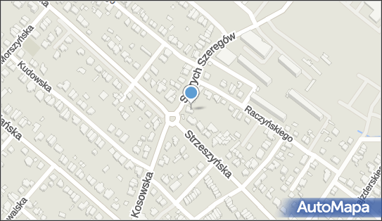 Przedsiębiorstwo Wielobranżowe Plus Minus, Szarych Szeregów 4 60-462 - Przedsiębiorstwo, Firma, NIP: 7811641305
