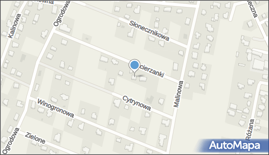 Przedsiębiorstwo Wielobranżowe Ramstal Przemysław Kapica 72-003 - Przedsiębiorstwo, Firma, NIP: 8511070135