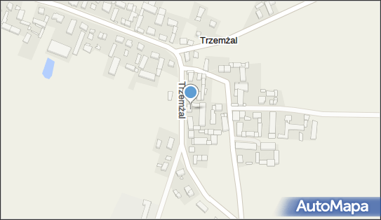 Przedsiębiorstwo Wielobranżowe Rolnik Michał Gwiazda, Trzemżal 62-235 - Przedsiębiorstwo, Firma, NIP: 5571261624