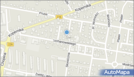 Przedsiębiorstwo Wielobranżowe-Rumpel Krystyna, Pruszcz Gdański 83-000 - Przedsiębiorstwo, Firma, NIP: 5931330363