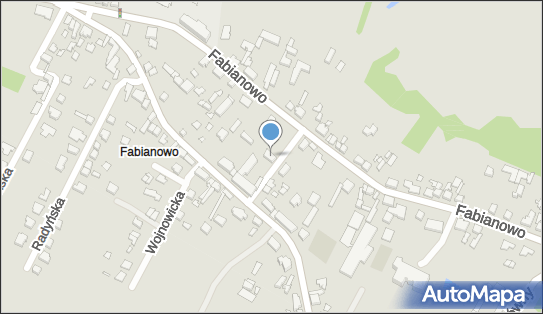 Przedsiębiorstwo Wielobranżowe Spidi, Cedzyńska 9, Poznań 60-002 - Przedsiębiorstwo, Firma, NIP: 7791088092