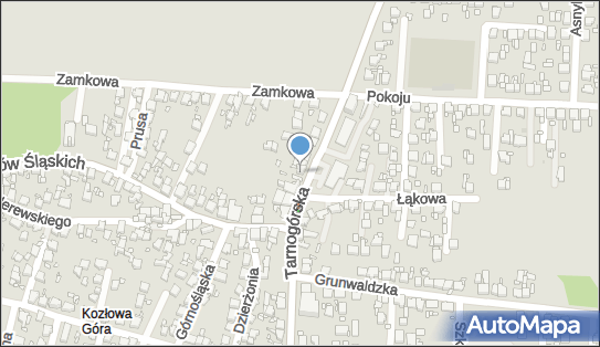 Przedsiębiorstwo Wielobranżowe Tandori Tomasz Sorn 41-945 - Przedsiębiorstwo, Firma, NIP: 6491628744