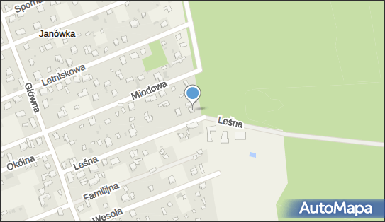 Przedsiębiorstwo Wielobranżowe Wamil Tadeusz Papiernik, Leśna 22 95-020 - Przedsiębiorstwo, Firma, NIP: 7280131208