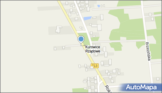 Przedsiębiorstwo Wielobranżowe Woźny Karolina Woźna, Kurowice 95-006 - Przedsiębiorstwo, Firma, NIP: 7282771018