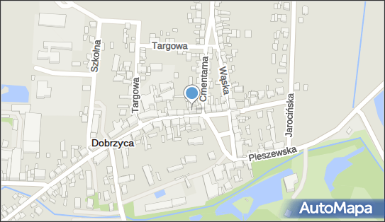 Przedsiębiorstwo Wielobranżowe, Koźmińska 4, Dobrzyca 63-330 - Przedsiębiorstwo, Firma, NIP: 6211092350