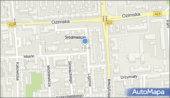 Przedszkole Publiczne nr 6, ul. Juliusza Ligonia 4, Opole 45-362 - Przedsiębiorstwo, Firma, numer telefonu