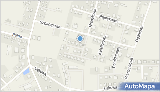 Przemysław Kamiński, Marchewkowa 2, Paczkowo 62-021 - Przedsiębiorstwo, Firma, NIP: 7842306217