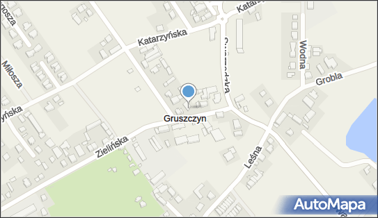 Przemysław Mielcarek Trans Art, ul. Zielińska 2c, Gruszczyn 62-006 - Przedsiębiorstwo, Firma, NIP: 7772122451