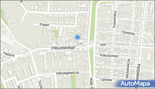 Przemysław Wydra Premo, ul. marsz. Józefa Piłsudskiego 4, Rawicz 63-900 - Przedsiębiorstwo, Firma, NIP: 6991802375