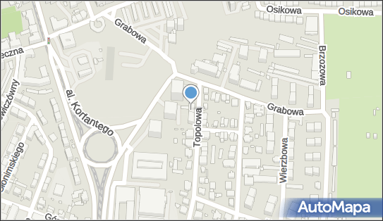 Przepisywanie Tekstów Na Komputerze, Topolowa 16A, Katowice 40-167 - Przedsiębiorstwo, Firma, NIP: 9541174845